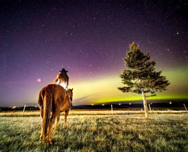 Stunning photo of the Aurora Borealis with a horse, captured by Eagle Vision's team during a photoshoot.