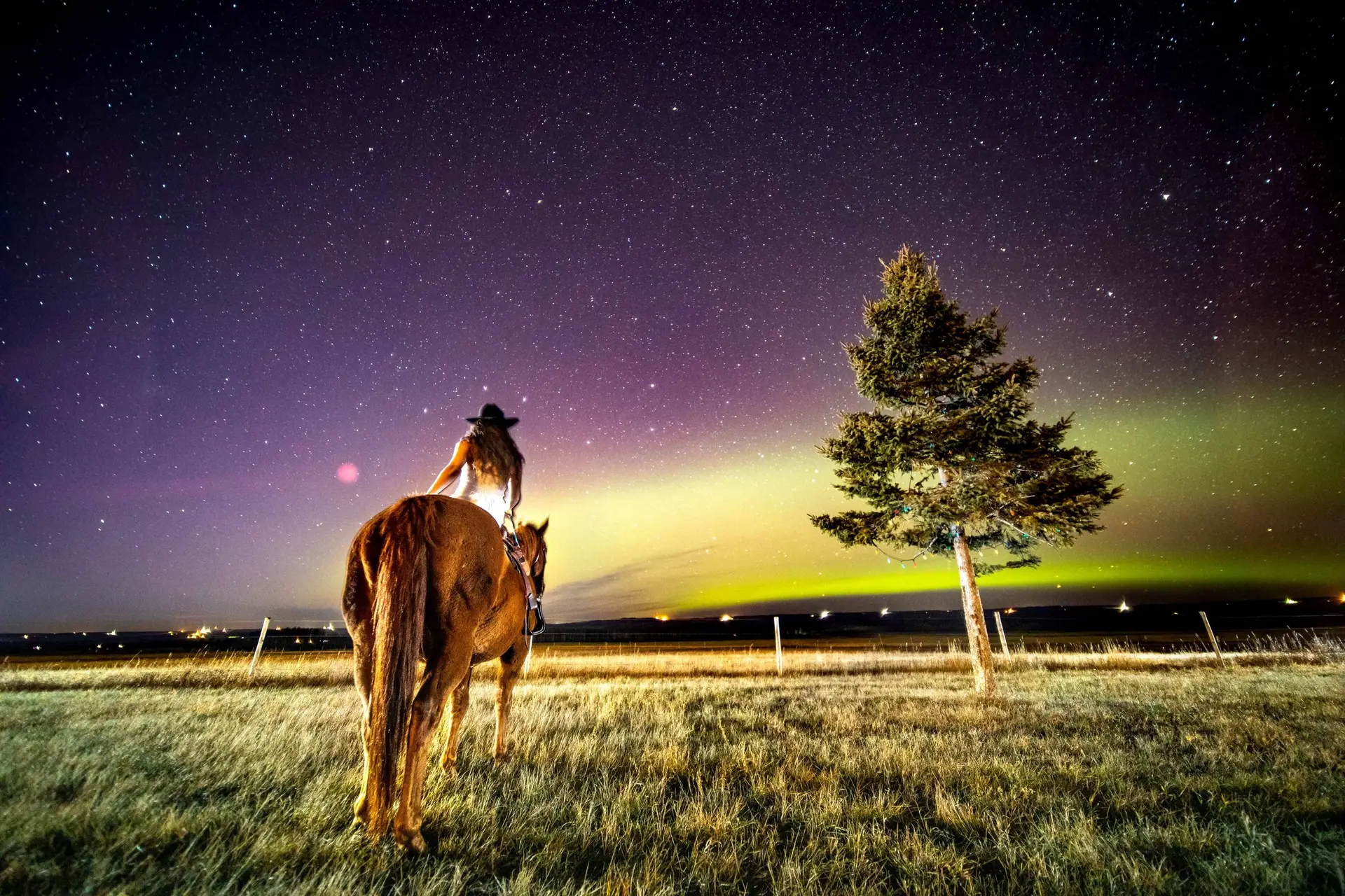 Stunning photo of the Aurora Borealis with a horse, captured by Eagle Vision's team during a photoshoot.