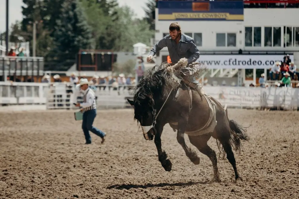 Experience the heart-pounding excitement of live rodeo action on our massive LED screen, whether you're in the arena or streaming to YouTube or your Pay-Per-View event. Don't miss a moment of the action with our high-definition replay screens!