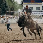 Experience the heart-pounding excitement of live rodeo action on our massive LED screen, whether you're in the arena or streaming to YouTube or your Pay-Per-View event. Don't miss a moment of the action with our high-definition replay screens!