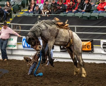 Discover how our live streaming services enhanced the Dawson Creek Spring Breakup Rodeo with real-time updates, contestant info, and audio management.