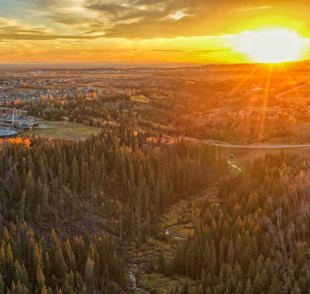 Nan w&uacute;&uacute;jǫ anaw&uacute;&uacute;dle photography showing land, water, and cultural stewardship that strengthens community well-being and sustainable forest management.