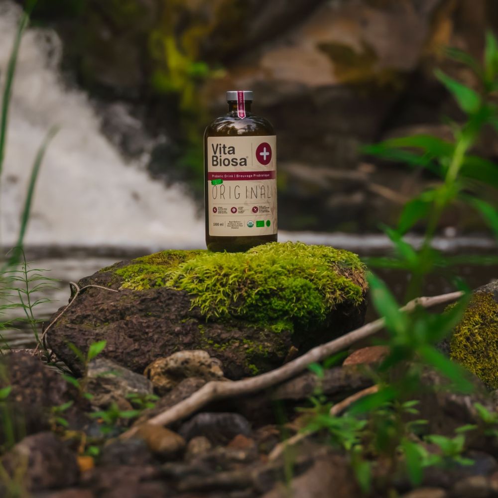 Studio style photography of products and materials with clean lighting and backgrounds, ideal for showcasing wood quality, detail, and craftsmanship.